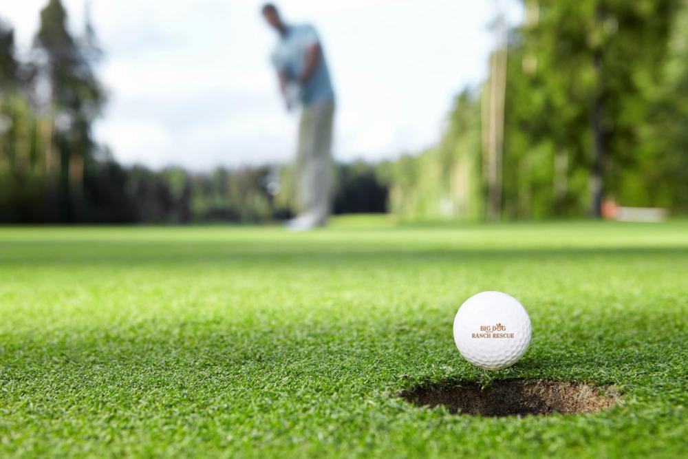 Promotional golf ball with brand logo sitting next to the hole