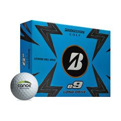 Bridgestone e9 Logo Golf Balls