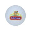 Blank (Plain White) Golf Balls