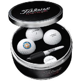 Titleist シルバーメタル製ネームプレート3枚 Titleist シルバーメタル製ネームプレート3枚 - メルカリ