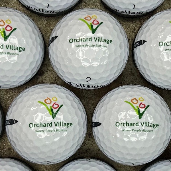 Custom logo golf balls featuring a green and orange organization design