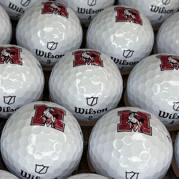 Wilson custom golf balls printed with a school mascot logo